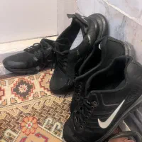 کیف و کفش|کیف، کفش، کمربند|گرگان, |دیوار