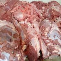 پخش گوشت گوساله تازه