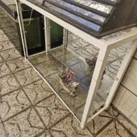 آکواریم بزرگ شیشه خم 10 میل شرکتی|ماهی|مشهد, حضرت حجت|دیوار