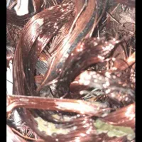 خرید کارتون کتاب غیره