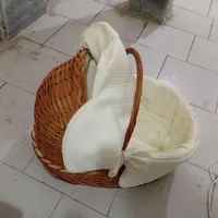 سبد نوزاد