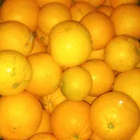 پرتقال|خوردنی و آشامیدنی|فومن, |دیوار