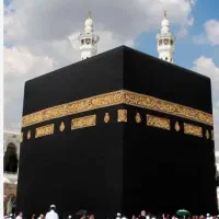 چند فقره فیش تمتع