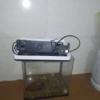 آکواریوم