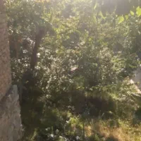 منزل-باغی