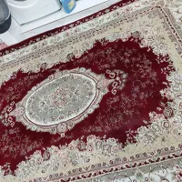 فرش|فرش|بندر ماهشهر, |دیوار