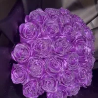 ۳۰ شاخه رز بنفش ربانی