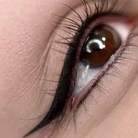 آرایش دائم فیبروز ابرو شیدینک لب خط چشم بن مژه|خدمات آرایشگری و زیبایی|شیراز, رازی|دیوار