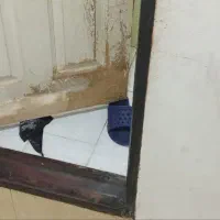 نقاشی ساختمان|خدمات پیشه و مهارت|سمنان, |دیوار