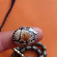 تسبیح و انگشتر|کلکسیون اشیاء عتیقه|ایذه, |دیوار