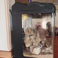 آکواریوم آب شور و شیرین|ماهی|مشهد, تربیت (صدف)|دیوار