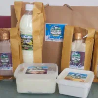 پخش مستقیم شیر بز سپیدار و محصولات لبنی از شیر بز