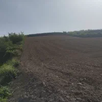 زمین اجاره دیم 4هکتار|فروش دفتر صنعتی، کشاورزی، تجاری|صادق آباد, |دیوار