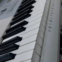 پیانو پرتابل ششونیم اکتاو کاسیو WK225