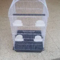 قفس طوطی بزرگ