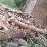 خریدارچوب درختان خیس وخشک صنعتی وزغالی|خدمات باغبانی و درختکاری|تهران, عبدلآباد|دیوار