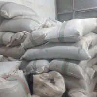 فروش چای خشک امساله