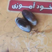 مهره سلیمانی قدیمی