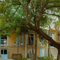 پرستار سالمند