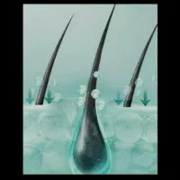 کارباگوشی مخصوص بانوان درمنزل|استخدام بازاریابی و فروش|سردشت, |دیوار