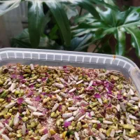 محصولات خانگی وپخت غذای خانگی|خوردنی و آشامیدنی|قم, بنیاد|دیوار