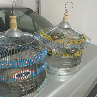 قفس تزعینی طرقه