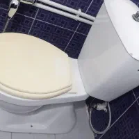توالت فرنگی