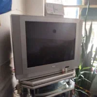 تلویزیون صفحه تخت بزرگ 60وچرخ گوشت|تلویزیون و پروژکتور|نجفآباد, فاز ۱ شهرک آزادگان|دیوار