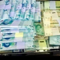 کاردر منزل باگوشی