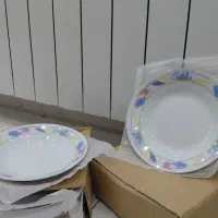 ظروف چینی   دیس|ظروف سرو و پذیرایی|کرمان, |دیوار