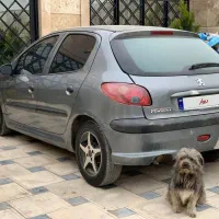 ۲۰۶ مدل ۸۵|خودرو سواری و وانت|مشهد, کلاته برفی|دیوار