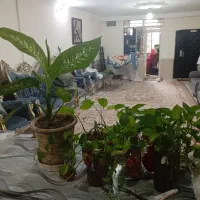 آپارتمان طبقه مثبت 1متراژ110متر رجب زاده|فروش آپارتمان|مشهد, طبرسی شمالی|دیوار