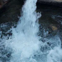 باغ انگور خسبیجان (مرکزی)