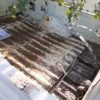 پیکان وانت مدل 82|خودرو سواری و وانت|گرگان, |دیوار