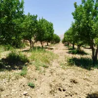 ویلایی-200-متری-دونبش-سیدصفا