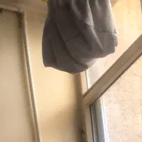 سره دهن دار