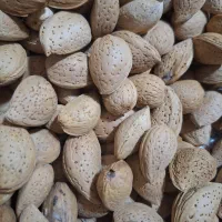 بادام
