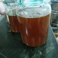 عسل بکر از کوههایی  کوردستان|خوردنی و آشامیدنی|تهران, آبشار|دیوار