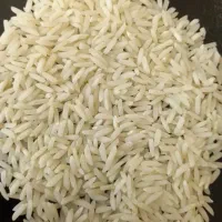 برنج هاشمی درجه 1