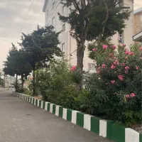 رنگ روغنی سبز تعداد محدود) زیر قیمت بازار)