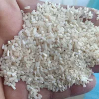 برنج سرلاشه هاشمی دودی