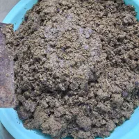 سبزی تقت داده شده