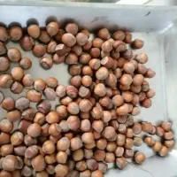 فندوق