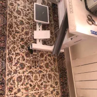 فرش ماشینی|فرش|کرمانشاه, |دیوار