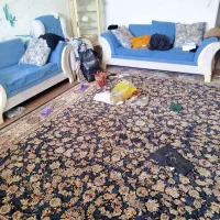 شرکت خدماتی نظافتی