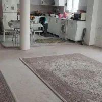 ۱۵۱۰ متر زمین با ویلای ۱۱۰متری سند دار