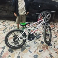 دوچرخه 20 ویوا دیسکی