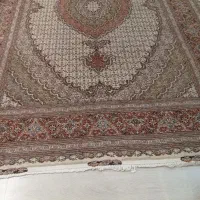 فرش دستبافت جفت ۶متری ماهی (مرینوس)|فرش|تبریز, |دیوار