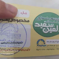 بلیط استخر خانواده ، دلفین ، صدرا