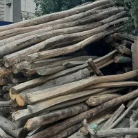 خریدار چوب تر و خشک|خدمات باغبانی و درختکاری|پارسآباد, |دیوار